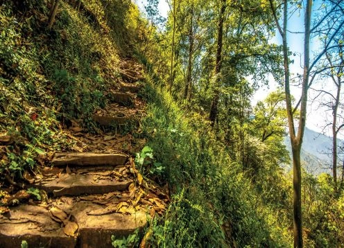 Parque Ecol�gico Chipinque