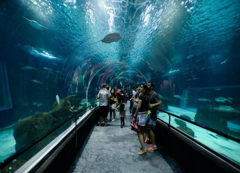 Recorrido fotografico privado para niños, incluido Lagoa Aventura. R�o de Janeiro, BRASIL