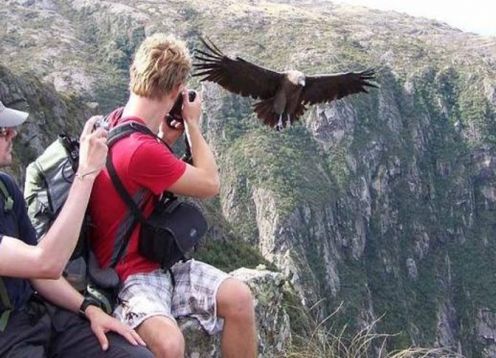 Trekking el Cordon del Plata, en Mendoza, con almuerzo de asado argentino. Mendoza, ARGENTINA