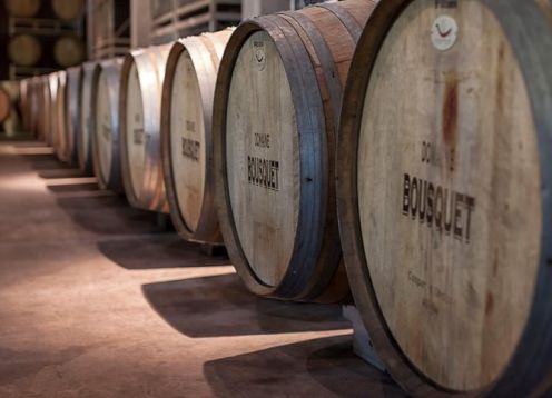 Tour del vino Valle de Uco desde Mendoza. Mendoza, ARGENTINA