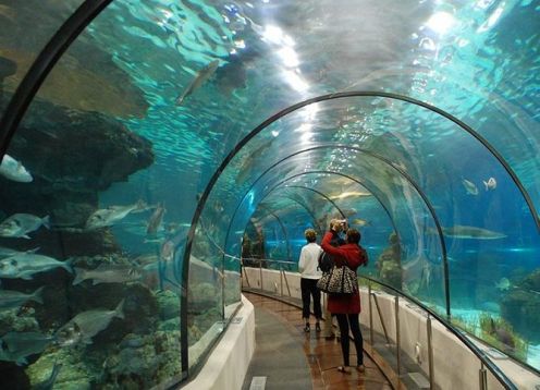 Museo del Mañana y el acuario mas grande de América del Sur AquaRio. R�o de Janeiro, BRASIL